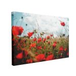 Tablou Canvas Maci în Lanul de Grâu